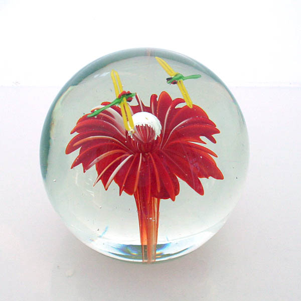 The Paperweight People Identification